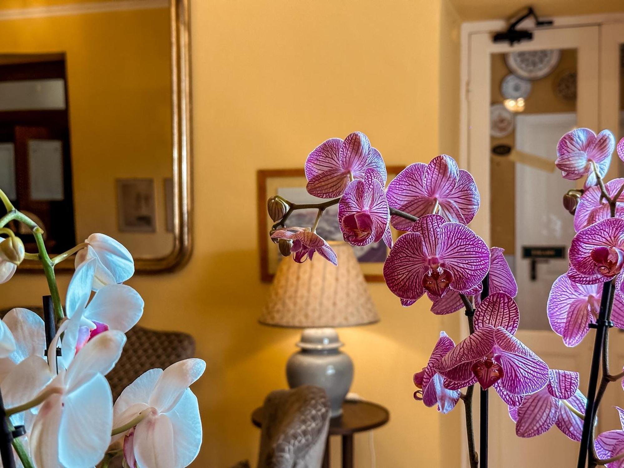 Hotel Villa Anita Santa Margherita Ligure Bagian luar foto